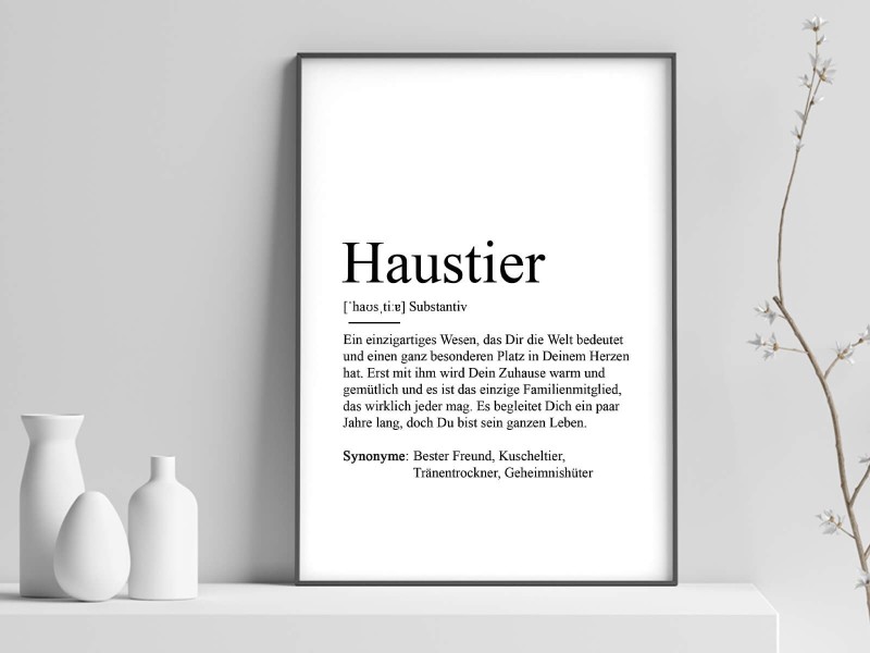 Poster "Haustier" Definition - 1